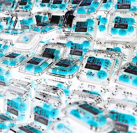 スズキタイト / Taito Suzuki